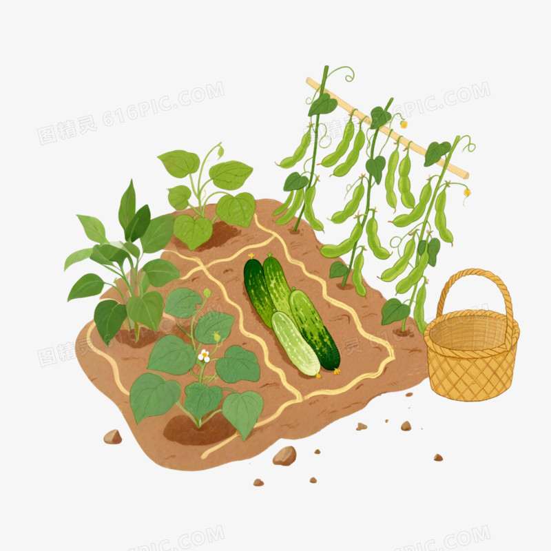 插画风小菜园免抠元素