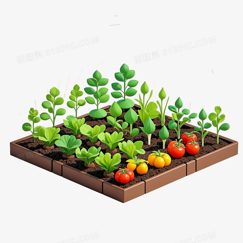 卡通插画风小菜地免扣元素