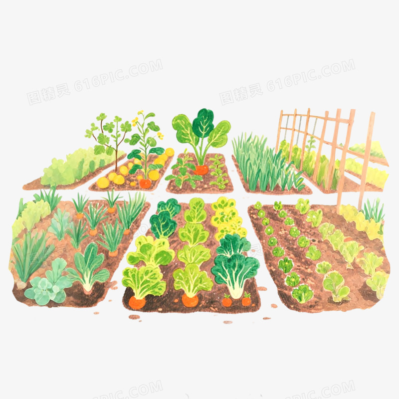 手绘插画菜园子免抠元素