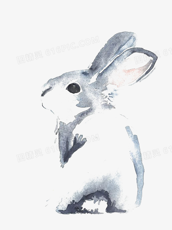 关键词:              插画手绘兔子水彩宠物