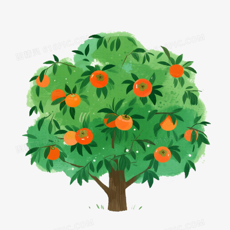 卡通插画风果树柿子树免抠元素