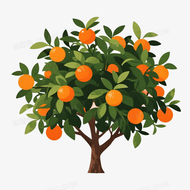 卡通插画风果树橙子树免抠元素