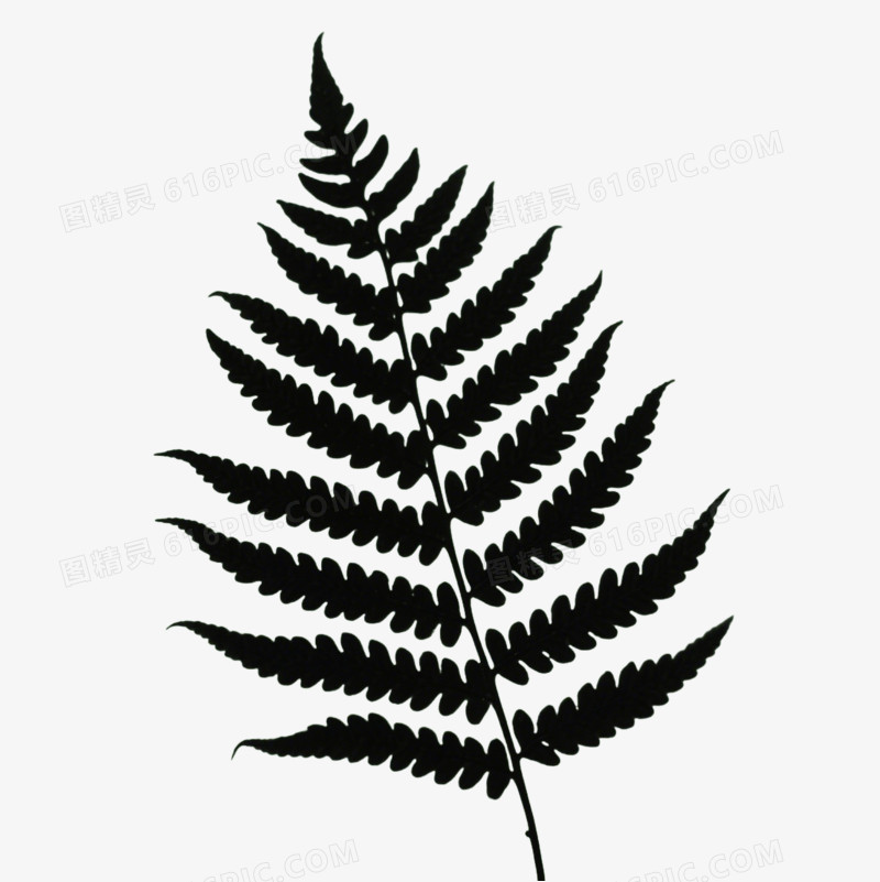 极简矢量植物剪影免抠元素