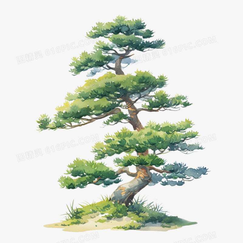 卡通手绘松树免抠元素