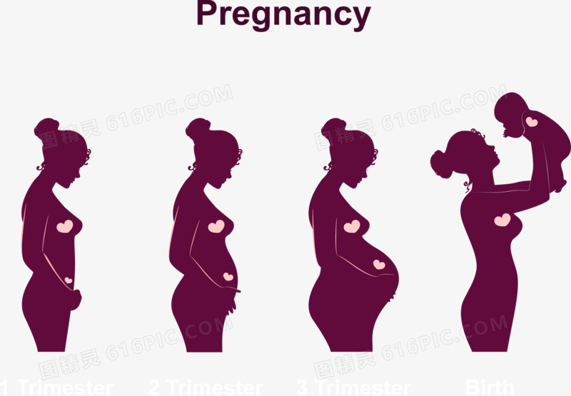 怀孕到诞生宝宝过程