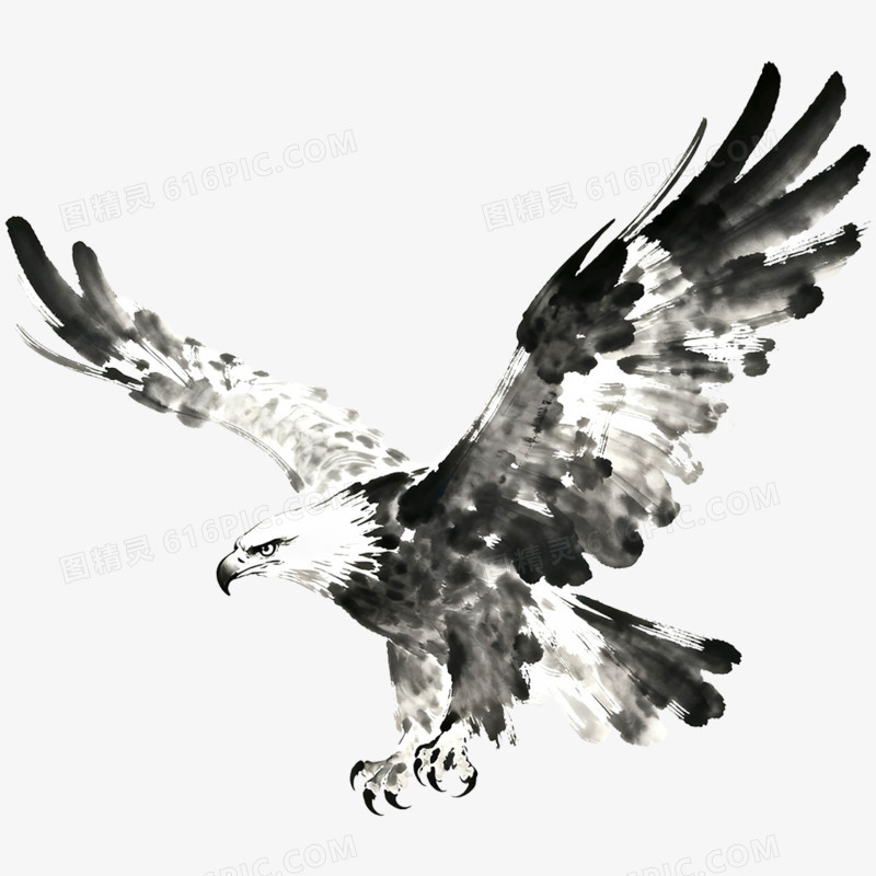 手绘插画老鹰免抠元素
