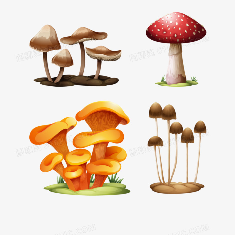 卡通手绘蘑菇造型装饰矢量图