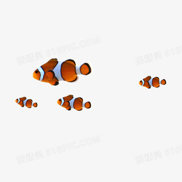 漂浮小鱼