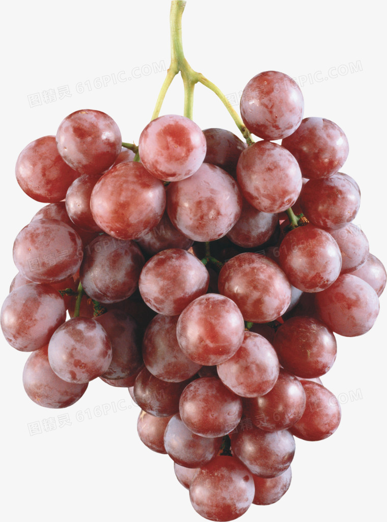 3d图标手绘3d水果图片 葡萄