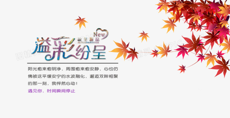 溢彩纷呈枫叶
