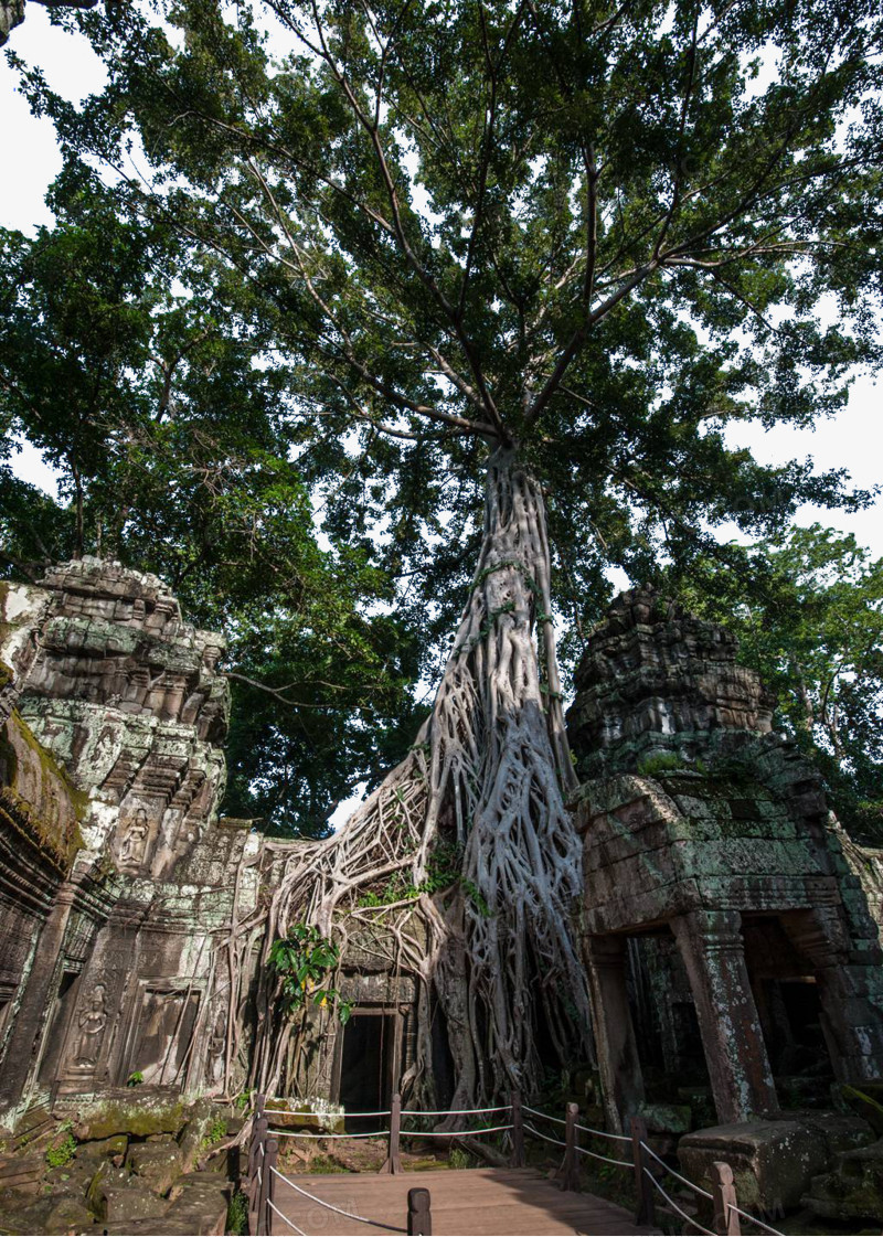 柬埔寨王国风景