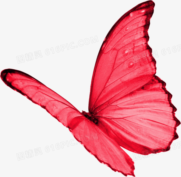 卡通红色花蝴蝶装饰