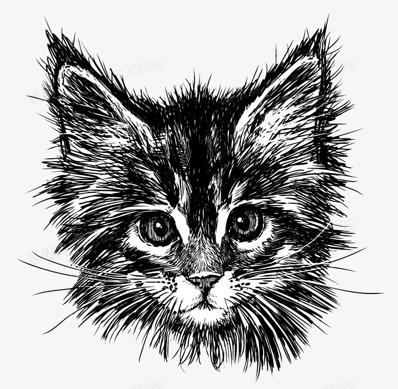 黑色手绘猫咪头像矢量素材