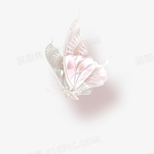 中秋节素材 蝴蝶