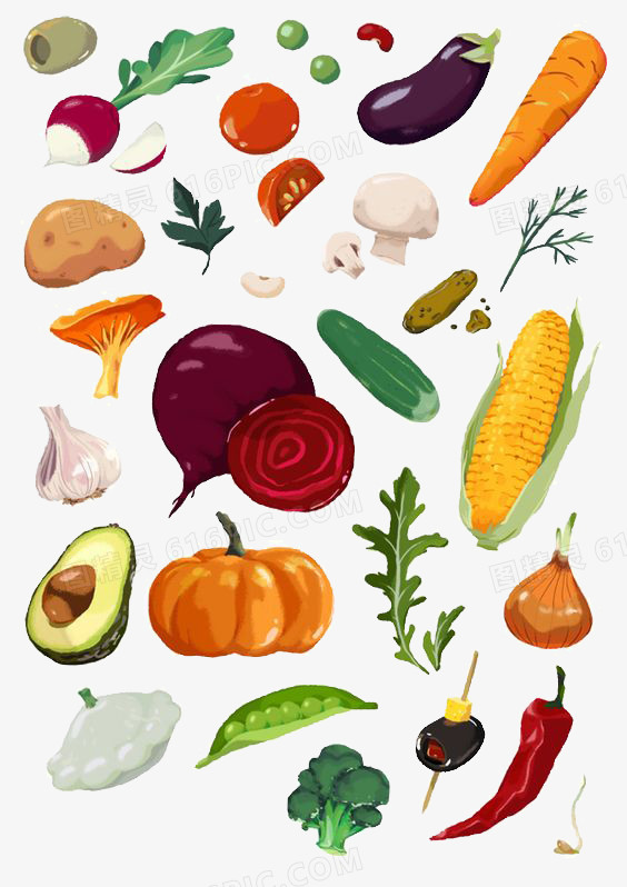 关键词:蔬菜玉米洋葱胡萝卜茄子插画卡通手绘文艺清新图精灵为您提供