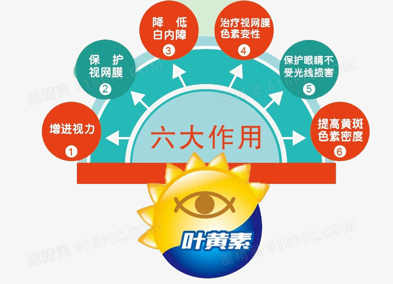 叶黄素的作用