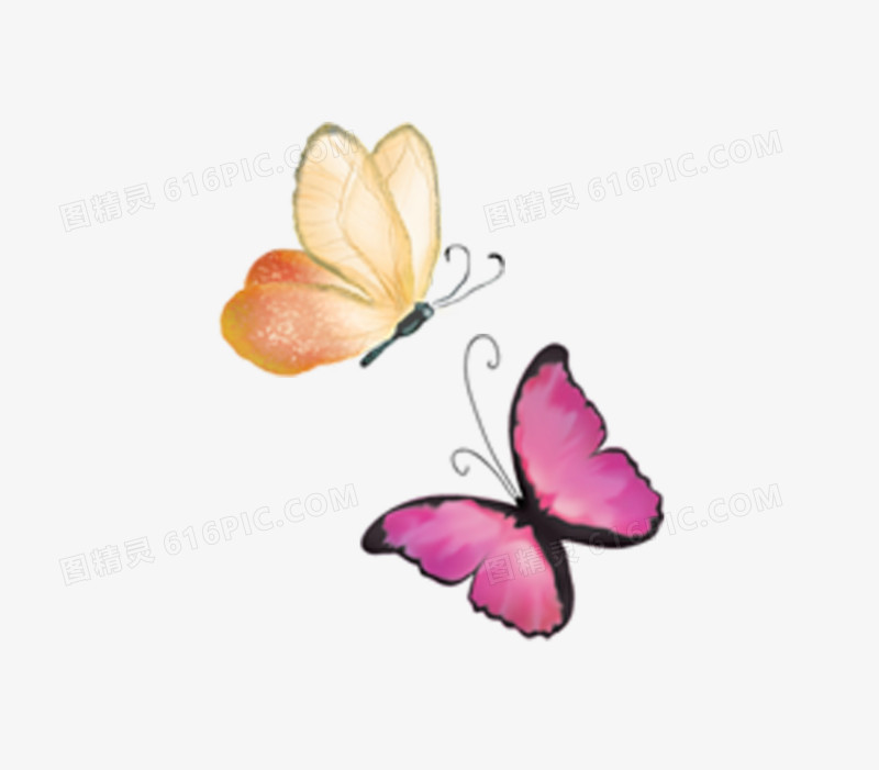 两只蝴蝶