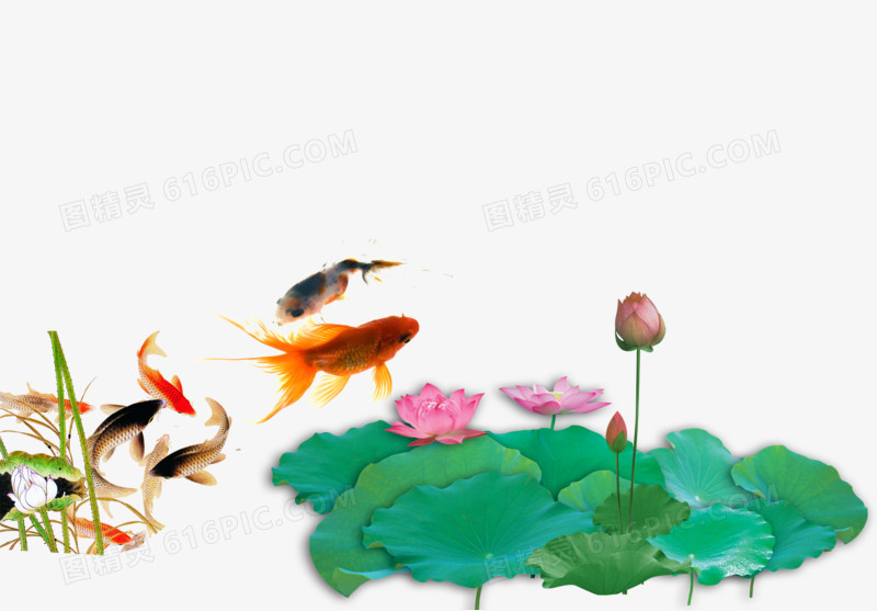 水墨鱼荷花