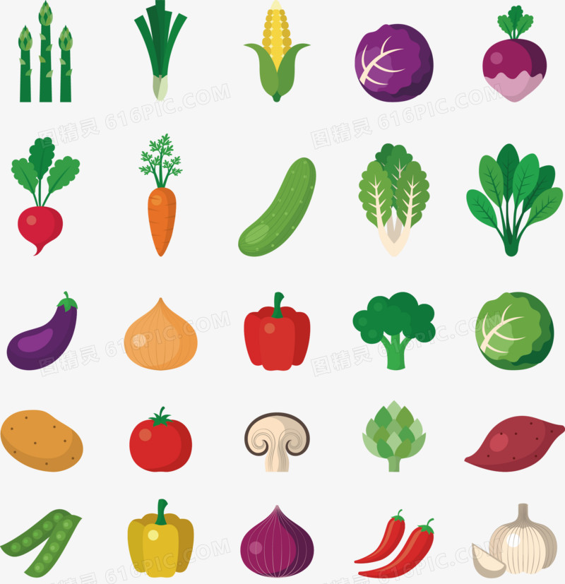 矢量手绘蔬菜