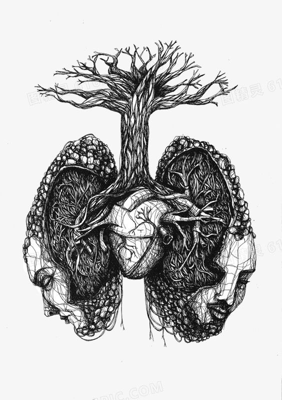 关键词:              肺部吸烟健康素描枯树器官人体器官
