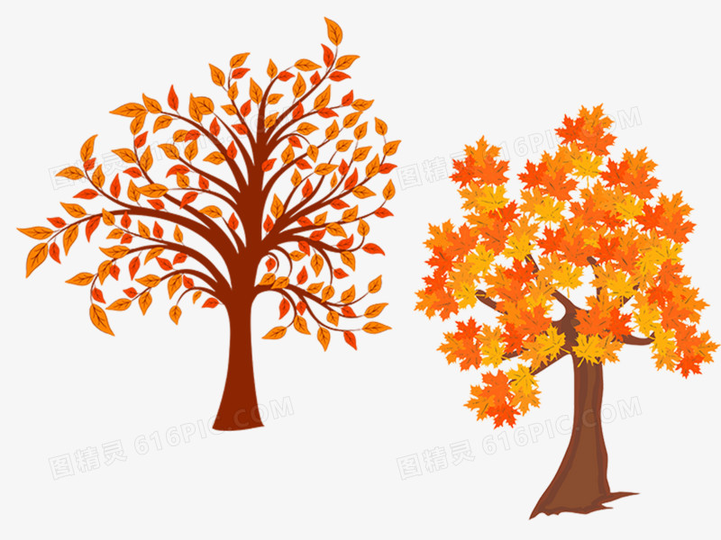 秋天树木素材