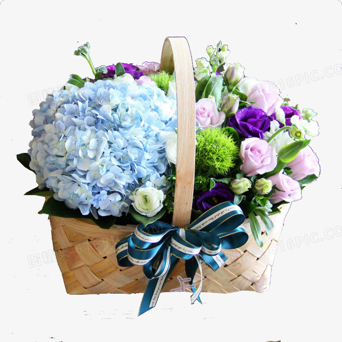 竹篮绣球花