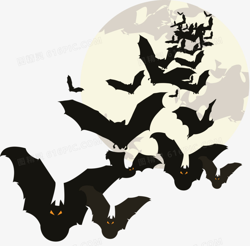 月亮下的蝙蝠