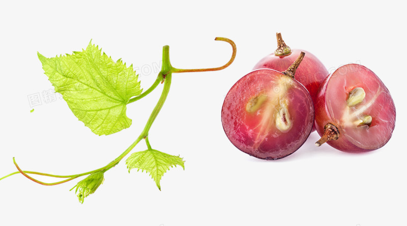 关键词:水果葡萄葡萄枝叶切开的葡萄图精灵为您提供水果葡萄葡萄枝叶