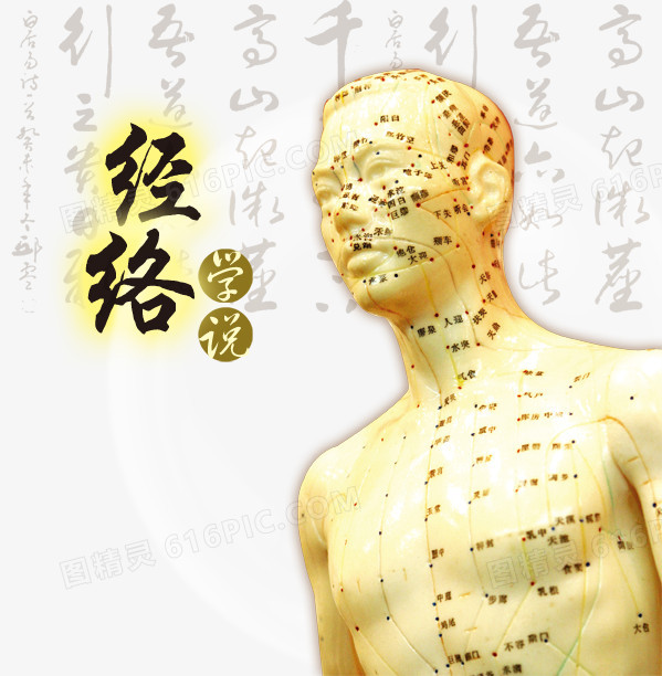 中医经络学说