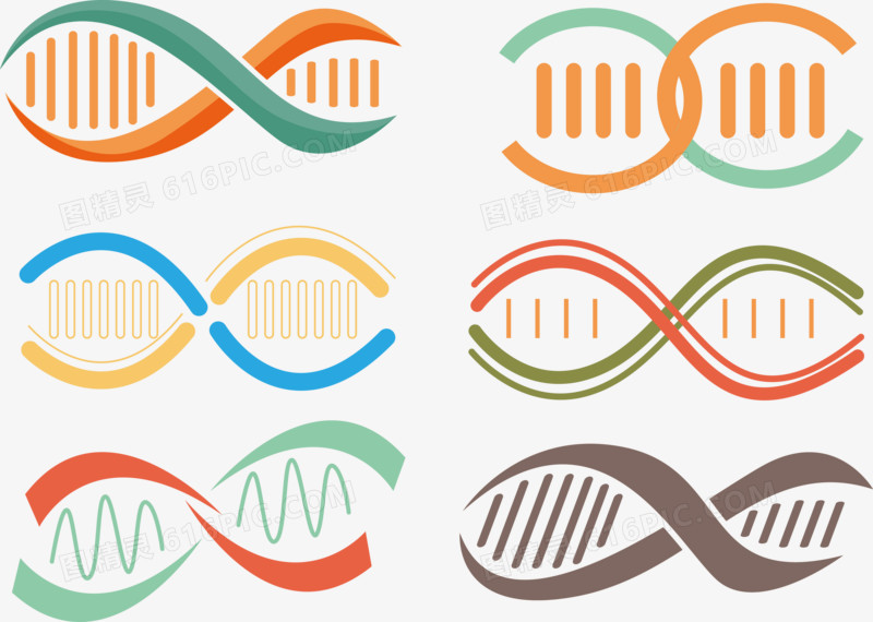 可爱彩色dna矢量图