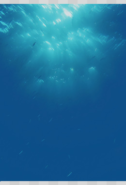 海底图片素材 免费海底png设计图片大全 图精灵