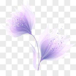 紫色花图片素材 免费紫色花png设计图片大全 图精灵