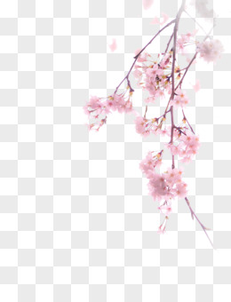 古风花卉图片免费下载_高清png素材_图精灵