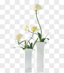 師白 花卉圖 0473 娄师白花卉三鸭图纸本立轴-艺术搜索_张雄艺术网