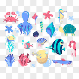 海洋生物图片素材 免费海洋生物png设计图片大全 图精灵