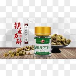 中医配图中草药手绘水彩元素铁皮石斛中医药