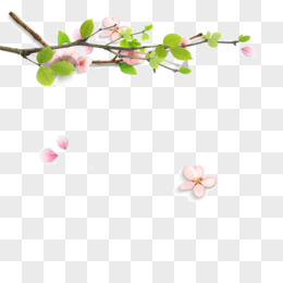 春天的树枝矢量素材图片