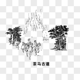 插画茶马古道