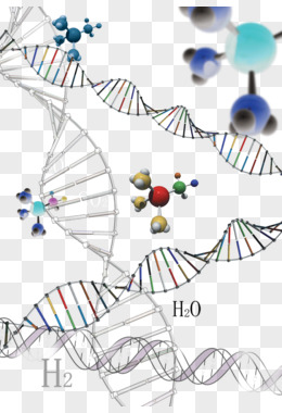 化学元素二氧化碳水分子