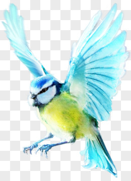 动物元素手绘动物素材 展翅的鸟