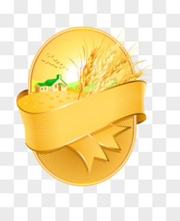 金色小麦粮食
