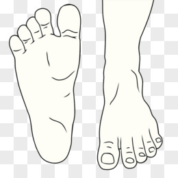 线描的脚 脚趾头 走路的脚掌 迈开的脚步