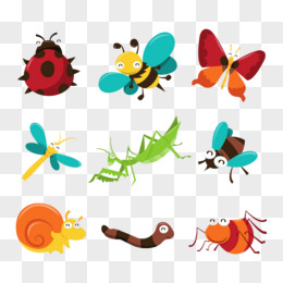 昆虫图片素材 免费昆虫png设计图片大全 图精灵