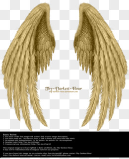天使的翅膀图片素材 免费天使的翅膀png设计图片大全 图精灵
