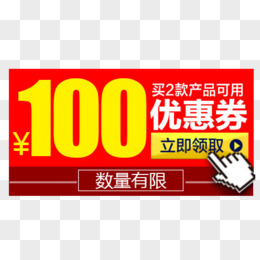 双十二100元优惠券