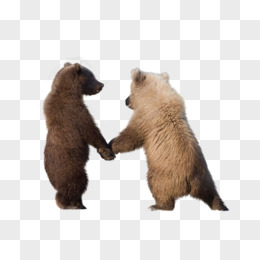 牵手的两只小熊