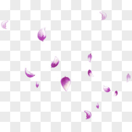 紫色插画树叶组合