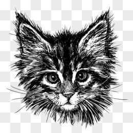 黑色手绘猫咪头像矢量素材 png ai