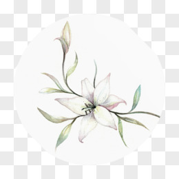 白玉兰提亮补水眼霜pngai手绘粉色玉兰花元素pngpsd白色玉兰花png手绘