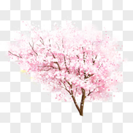 桃花树